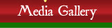 Media Gallery